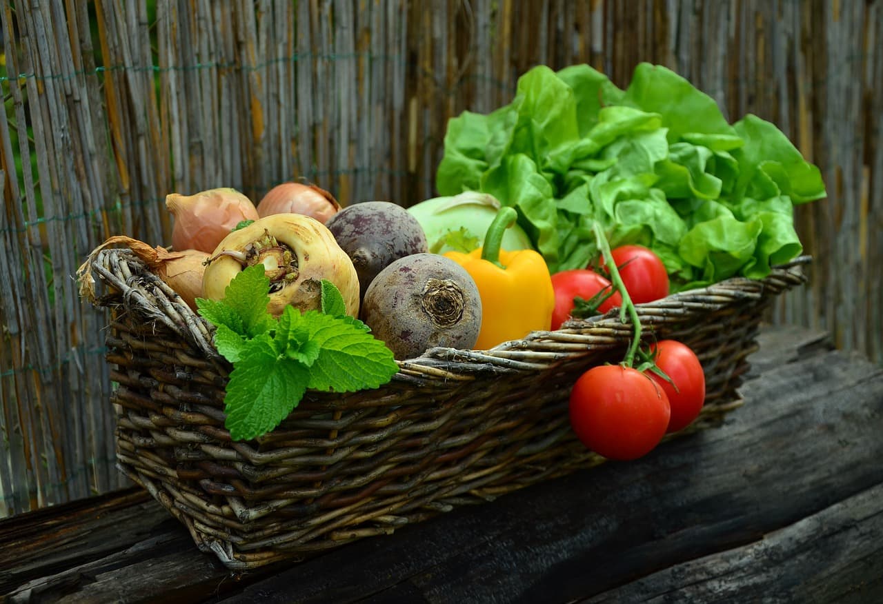 10 Things You Most Likely Didn't Know About Health.